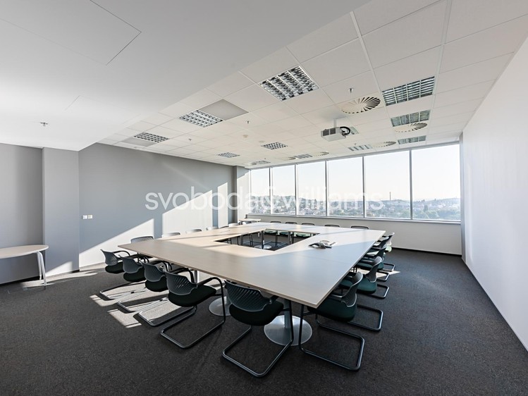 Pronájem komerčního prostoru, 898 m² (3 z 14)