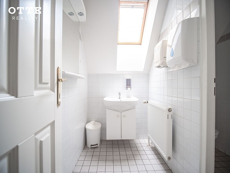 Комерційне приміщення в оренду, 219 м² (15 з 28)