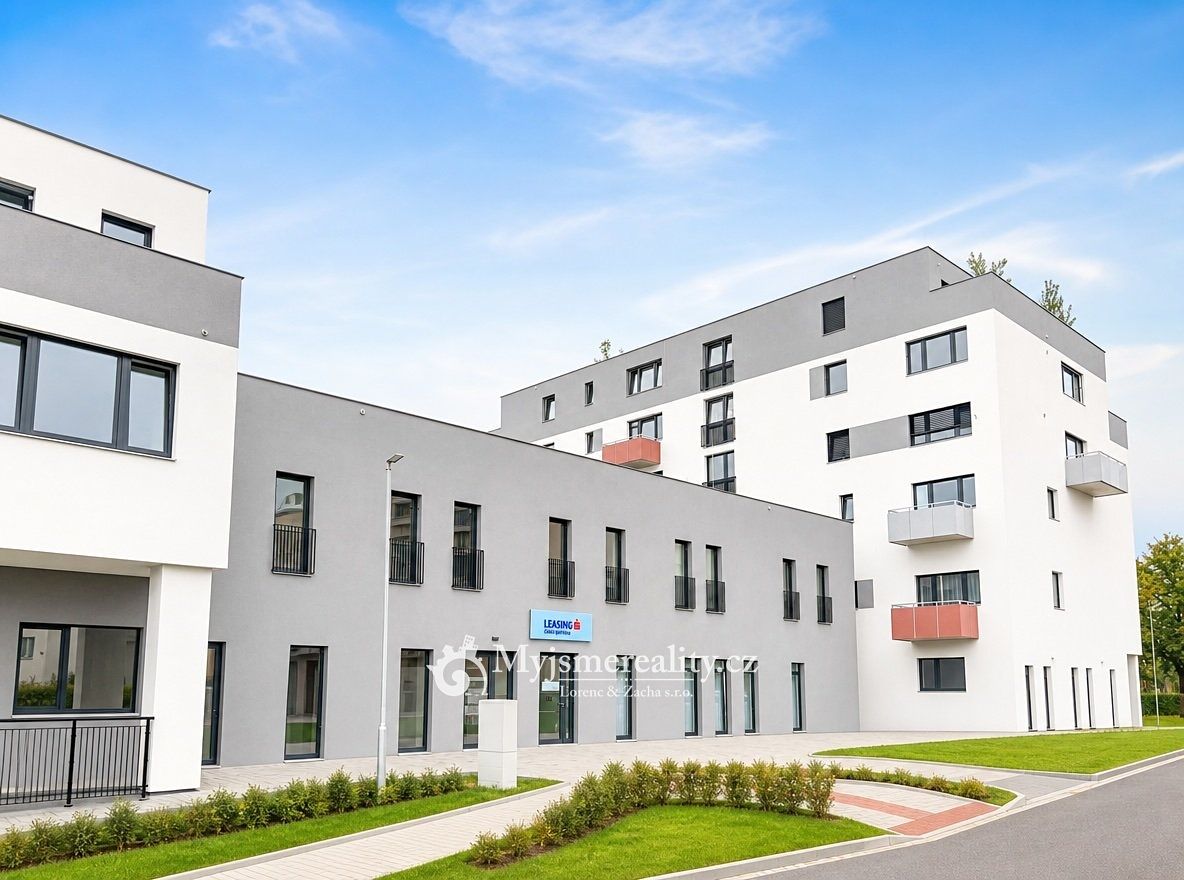 Pronájem bytu 1+1 41 m²
