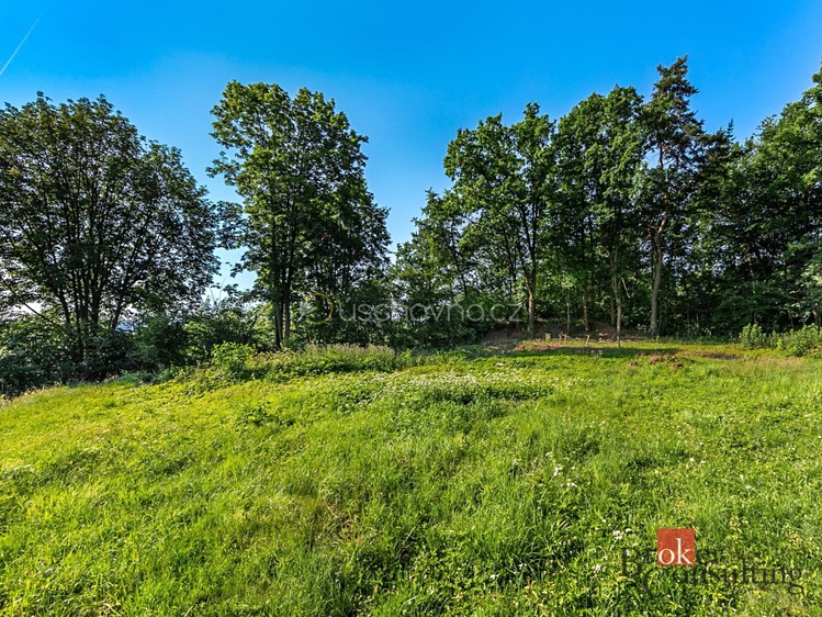 Prodej pozemku, 1 256 m² (2 z 3)