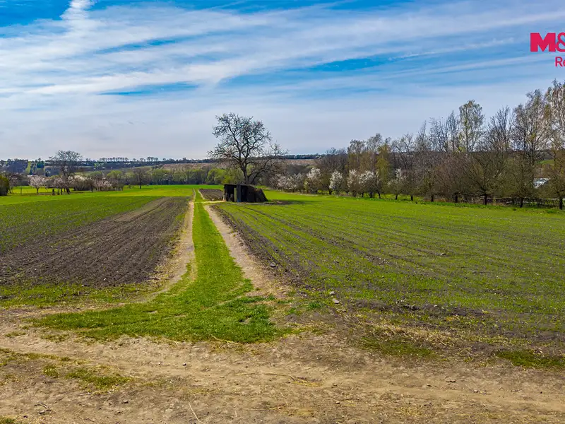 Prodej zahrady 3309 m², Třebenice – náhled fotky 3