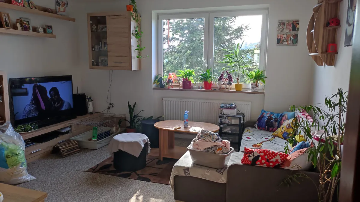Pronájem bytu 3+1 75 m²