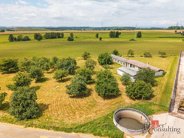 Ділянка на продаж, 5 636 м² (6 з 12)
