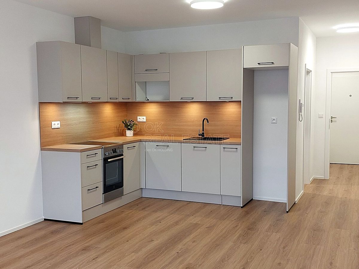 Pronájem bytu 1+kk 42 m²