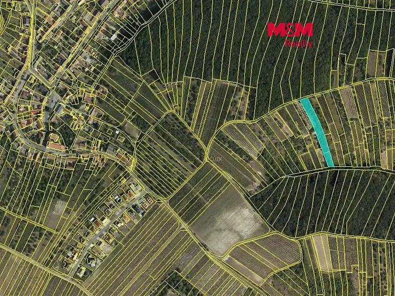Prodej sadu, vinice 5779 m², Němčičky – náhled fotky 1