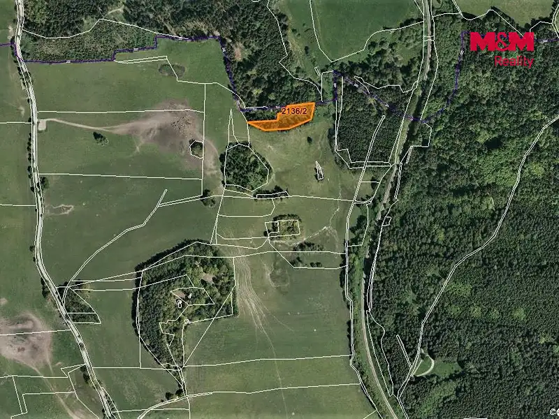 Prodej louky 3918 m², Horní Dvořiště – náhled fotky 3