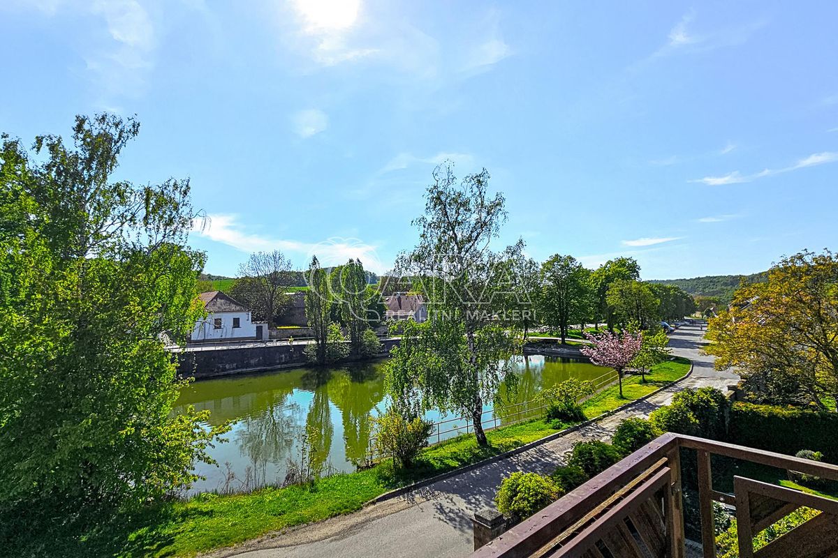 Prodej rodinného domu 320 m², pozemek 1701 m² – fotografie 4