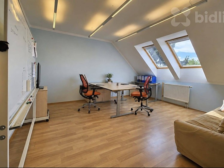 Prodej komerčního prostoru, 363 m² (15 z 36)