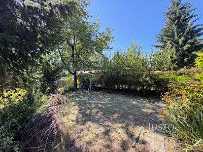 Prodej zahrady 266 m²