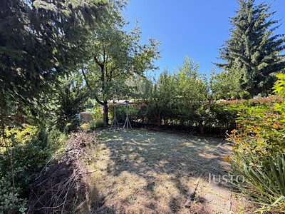Prodej  zahrady 266 m²