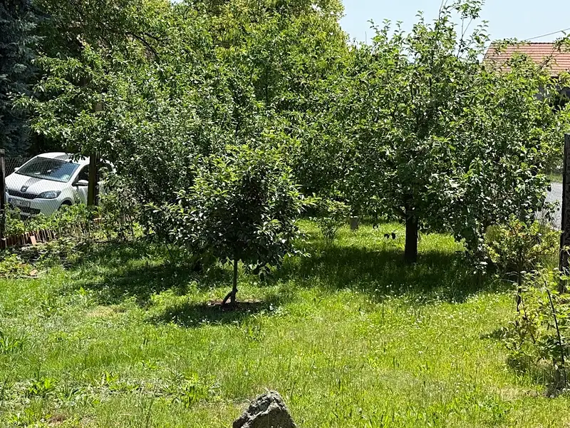 Prodej chalupy 65 m², pozemek 665 m², Loučeň – náhled fotky 3
