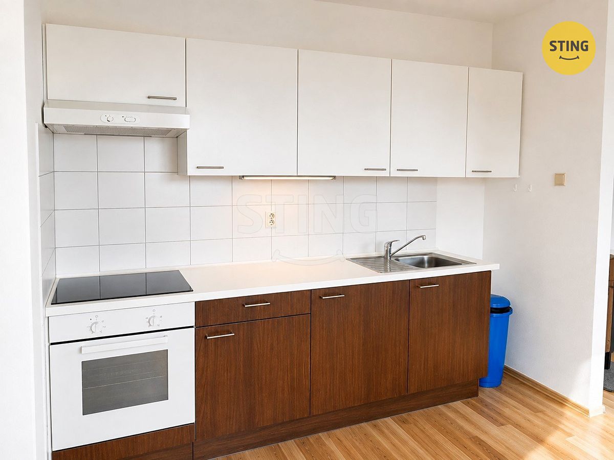 Pronájem bytu 1+kk 35 m² – fotografie 5