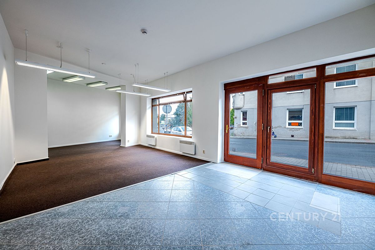 Pronájem rodinného domu 196 m², pozemek 196 m² – fotografie 3