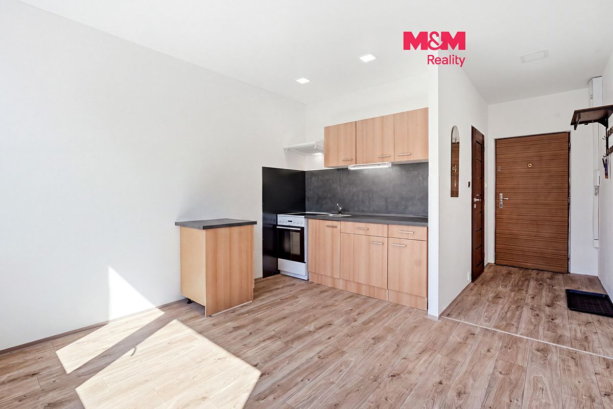 Pronájem bytu 1+1 36 m²
