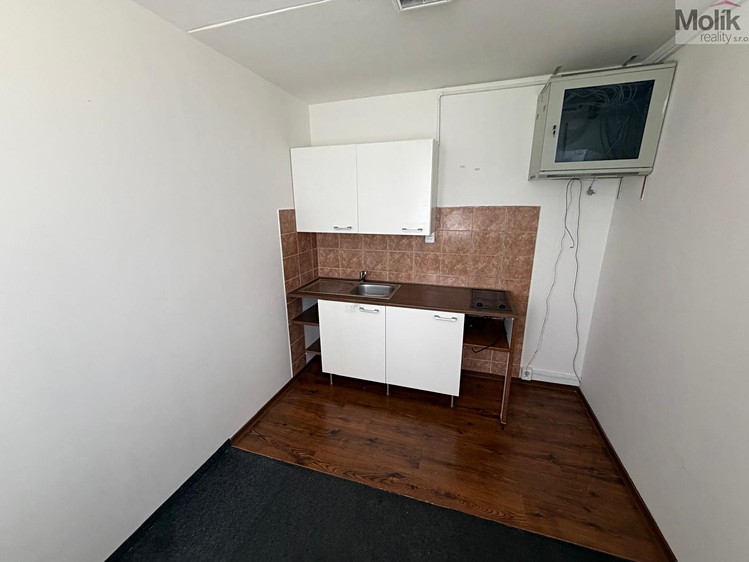 Prodej komerčního prostoru, 55 m² (8 z 14)