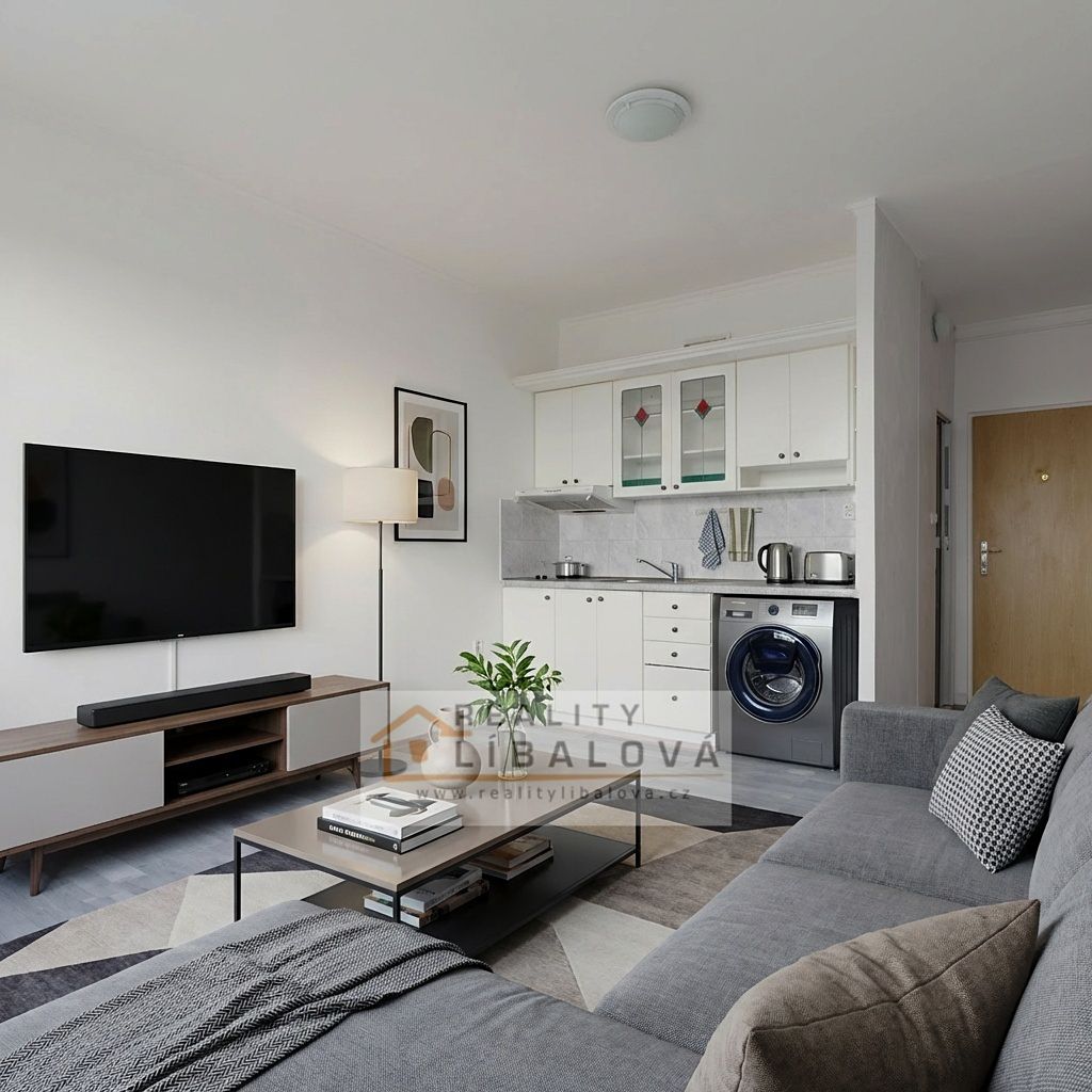 Pronájem bytu 1+kk 20 m² – fotografie 3