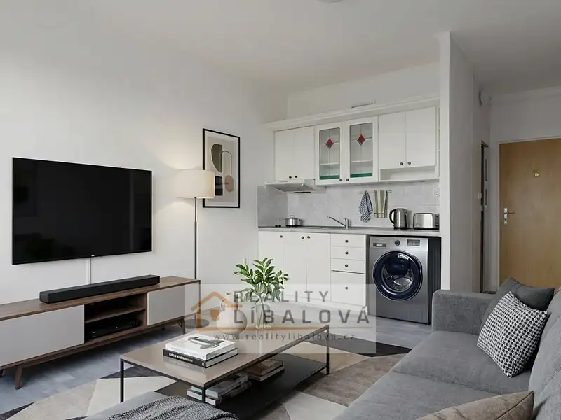 Pronájem bytu 1+kk 20 m², Ústí nad Labem – náhled fotky 3