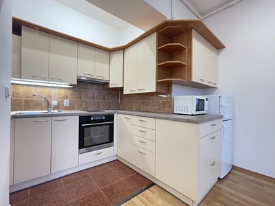 Pronájem bytu 1+kk 42 m²