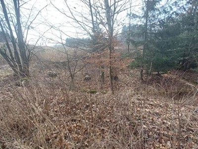 Grundstück zum Kauf, 2.315 m² (3 von 7)