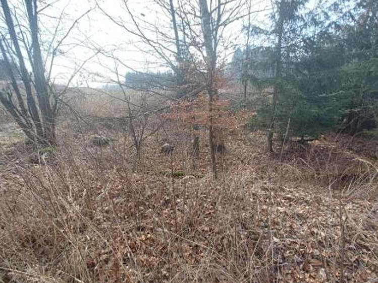 Grundstück zum Kauf, 2.315 m² (3 von 7)