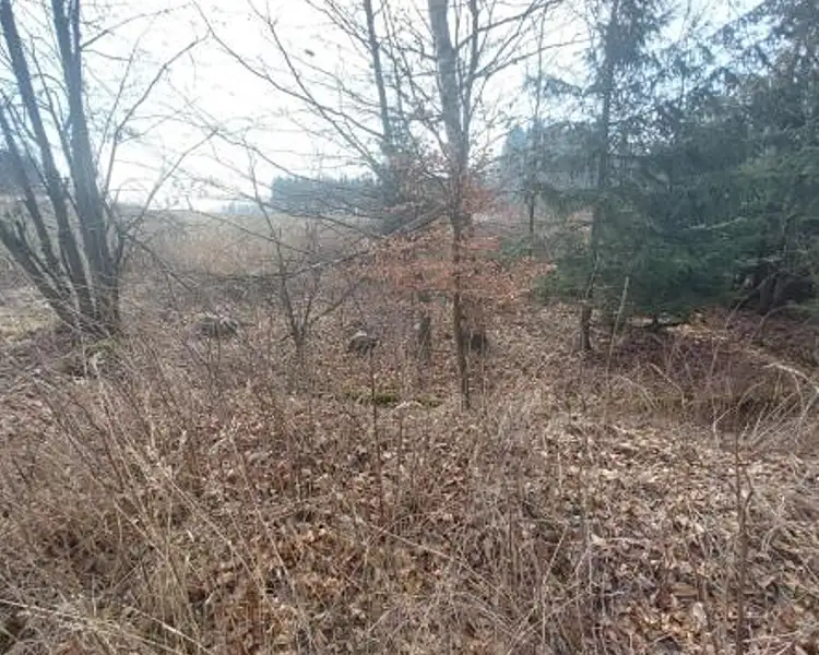 Prodej pozemku 2315 m², Načeradec – náhled fotky 3