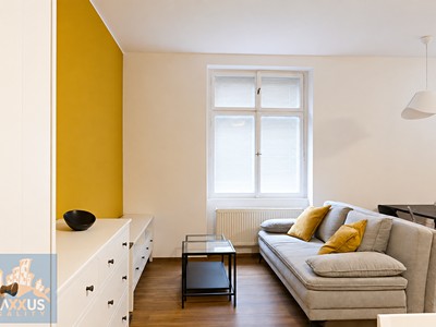 Pronájem bytu 1+1 43 m²