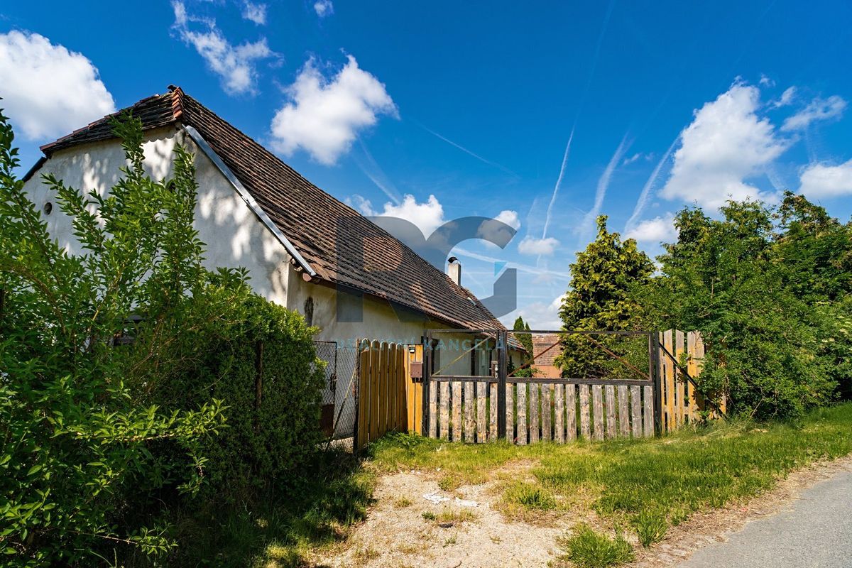 Prodej rodinného domu 449 m², pozemek 1102 m² – fotografie 3