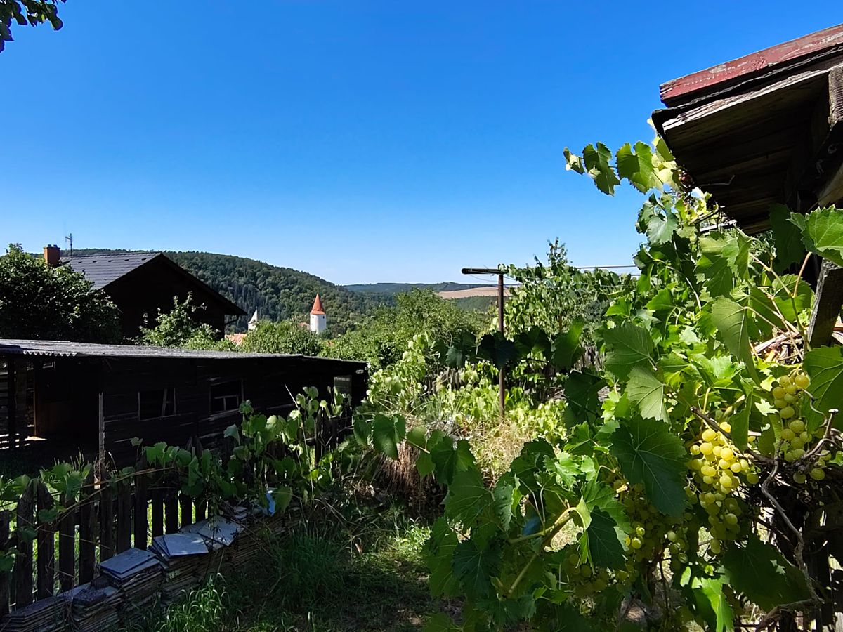 Prodej rodinného domu 220 m², pozemek 1940 m² – fotografie 4