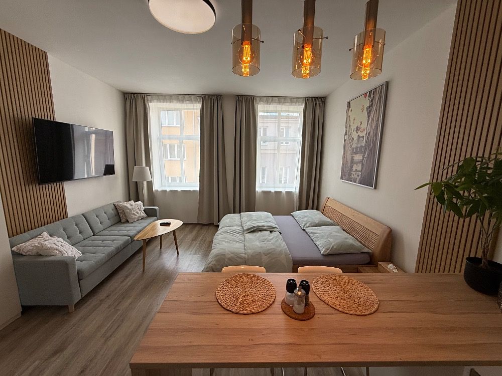Pronájem bytu 1+kk 40 m² – fotografie 2