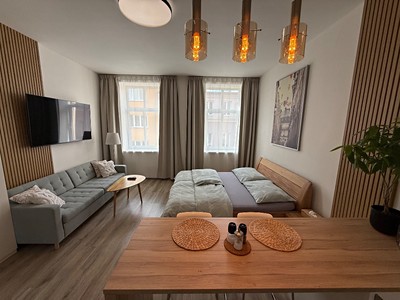 Wohnung 1+kk zur Miete, 40 m² (2 von 11)