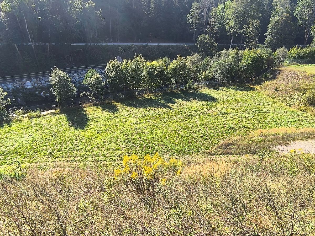 Pronájem komerčního pozemku 30000 m², Loučovice – fotka 1 z 3