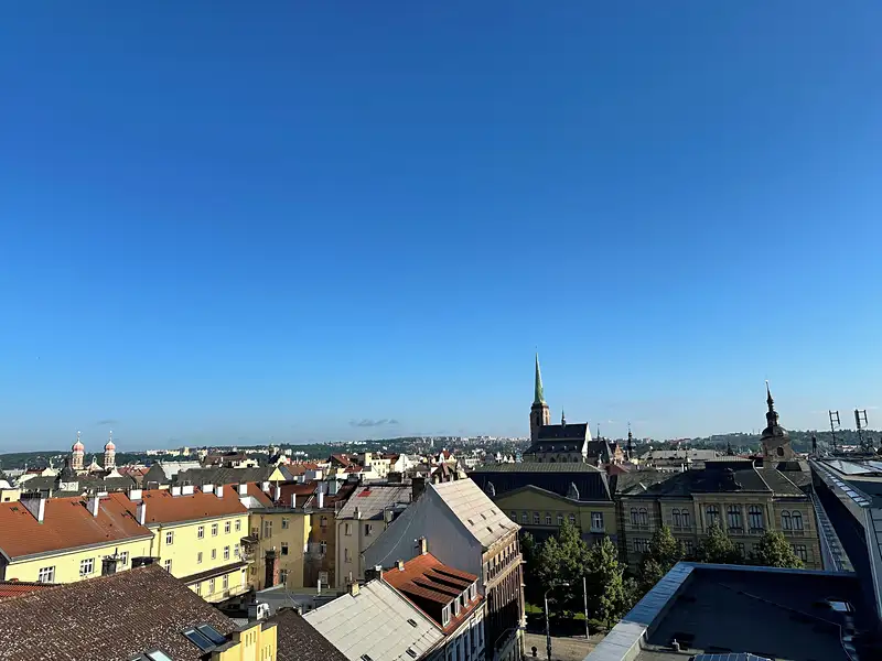 Pronájem bytu 1+1 34 m², Plzeň – náhled fotky 3