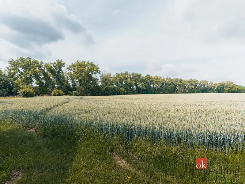 Prodej stavebního pozemku 2208 m², Nesuchyně – náhled fotky 3