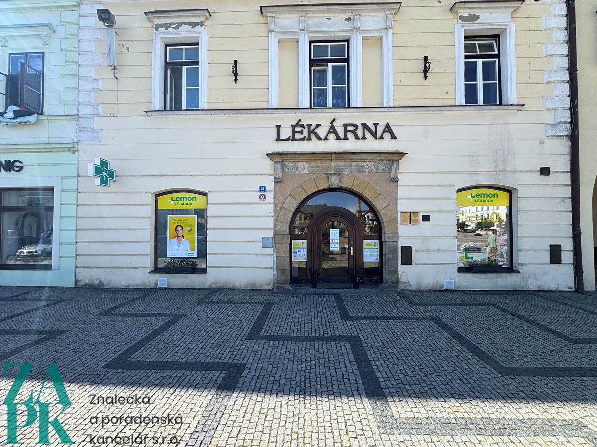 Pronájem obchodního prostoru 226 m²
