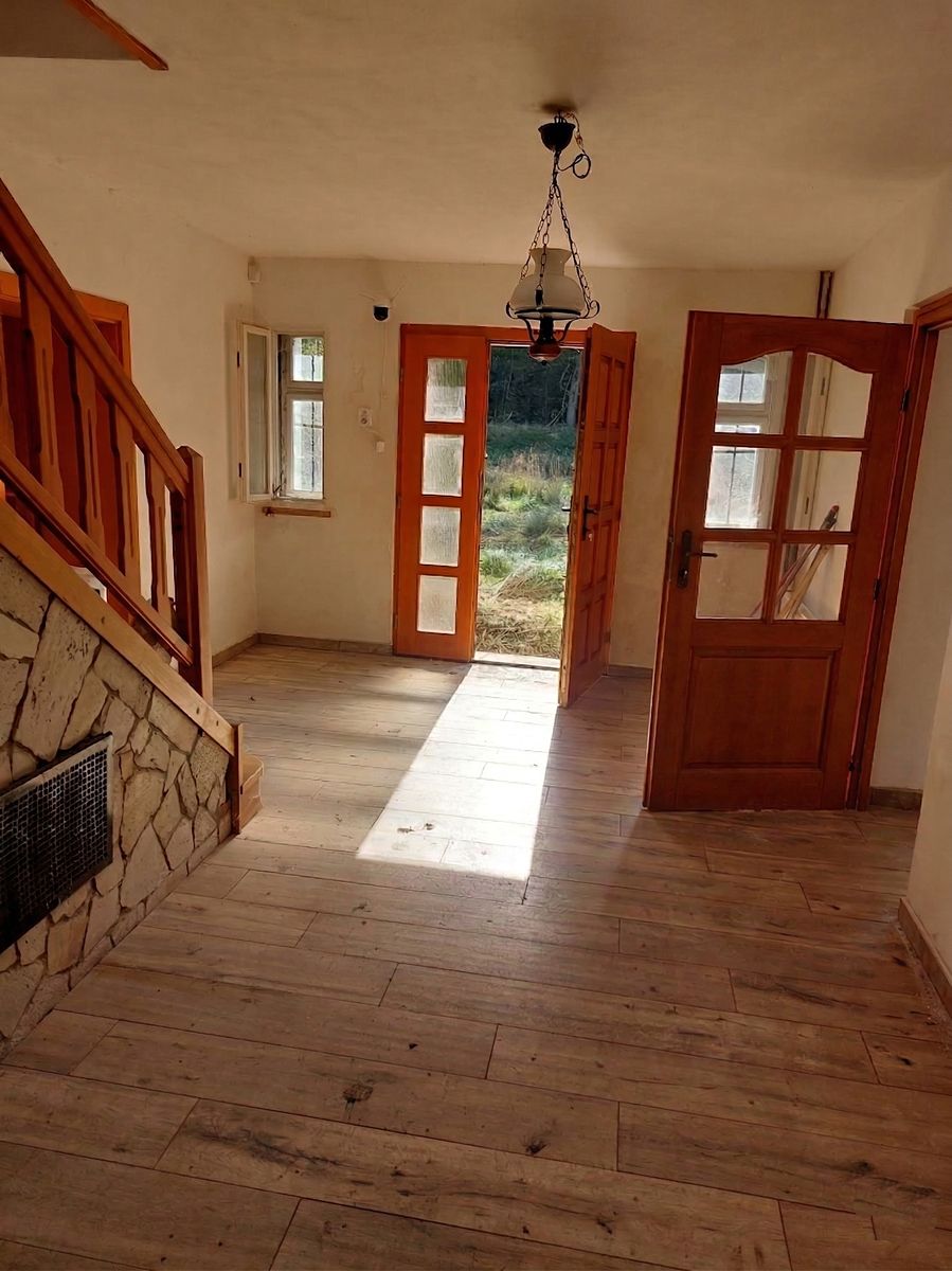 Prodej rodinného domu 250 m², pozemek 8374 m² – fotografie 5