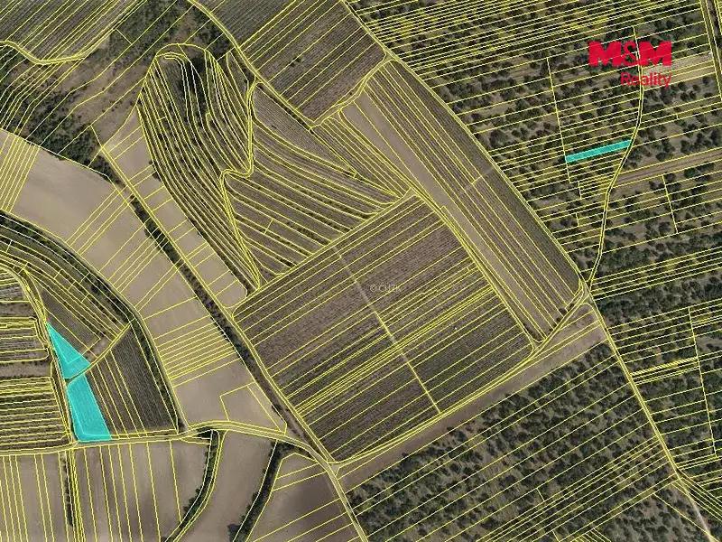 Prodej sadu, vinice 5779 m², Němčičky – náhled fotky 3