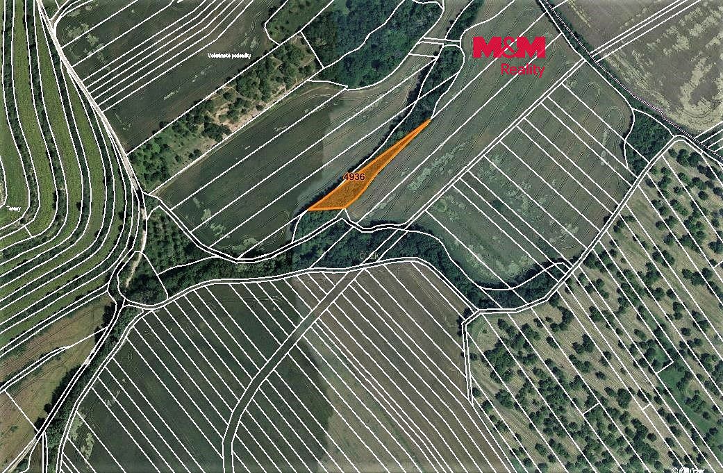 Prodej lesa 1773 m², Němčany – fotka 1 z 3