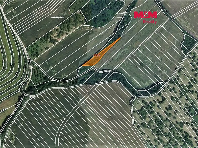 Prodej lesa 1773 m², Němčany – náhled fotky 1