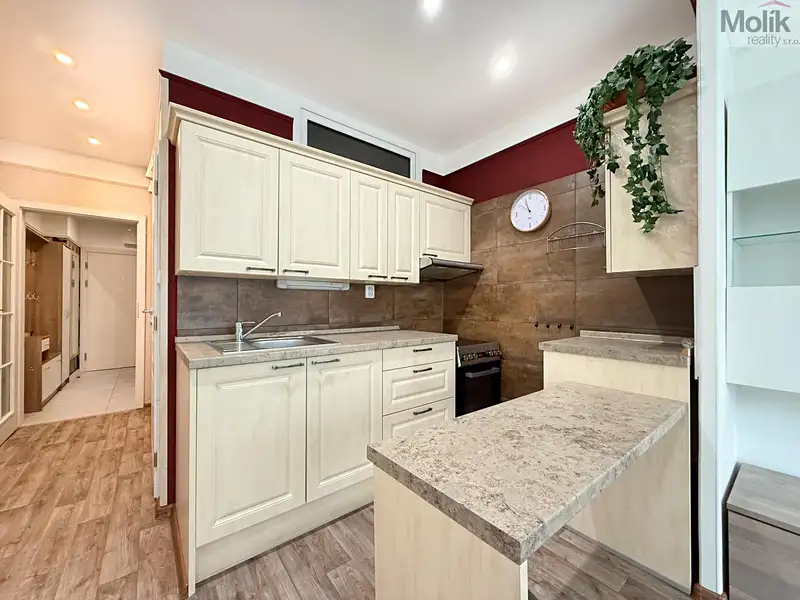 Pronájem bytu 1+kk 38 m², Teplice – náhled fotky 2