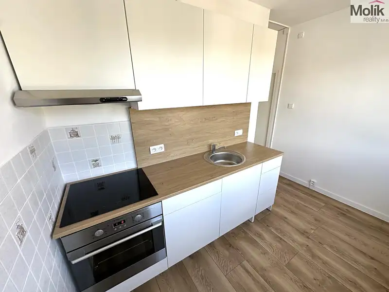 Pronájem bytu 2+1 52 m², Duchcov – náhled fotky 2