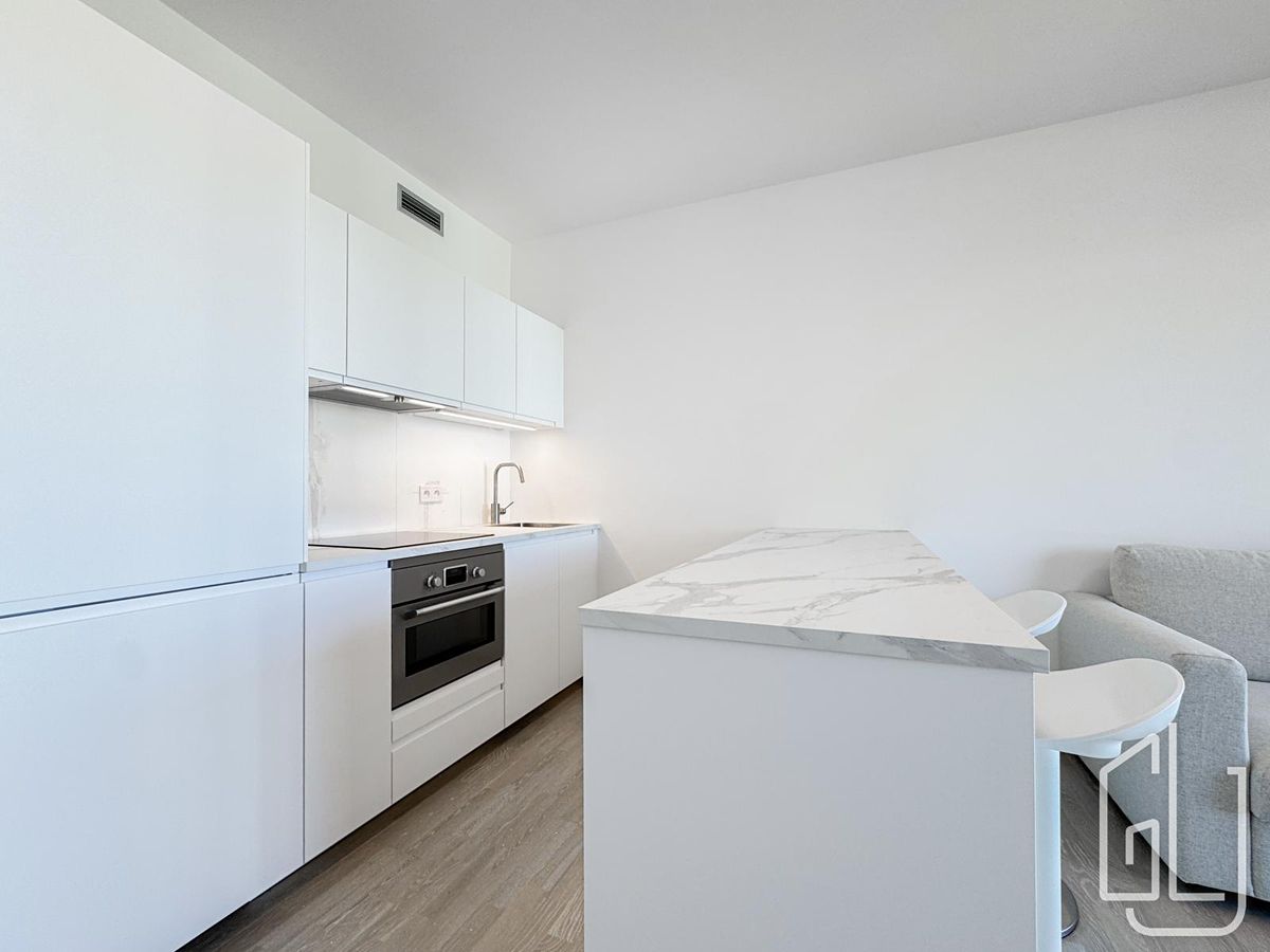 Pronájem bytu 1+kk 35 m²