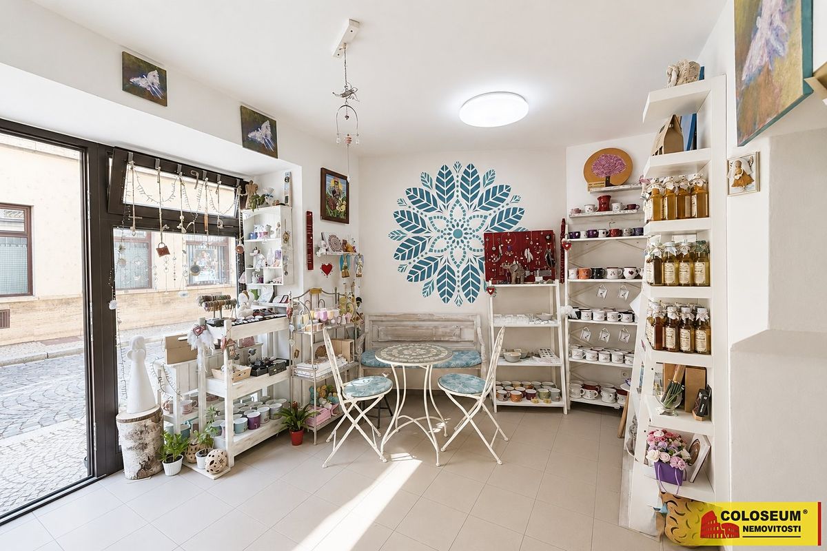 Prodej rodinného domu 120 m², pozemek 35 m² – fotografie 3