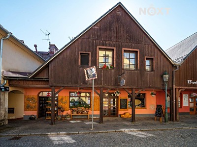 Prodej komerčního prostoru, 300 m² (3 z 17)