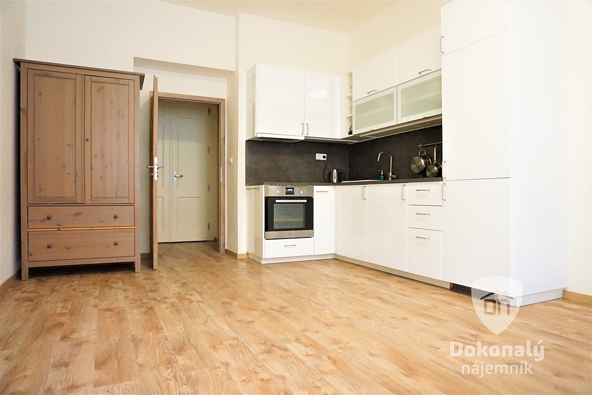 Pronájem bytu 1+kk 29 m²