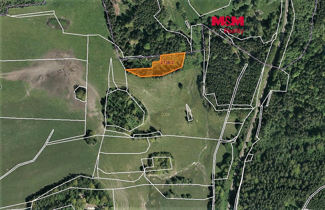 Prodej louky 3918 m², Horní Dvořiště – fotka 1 z 3