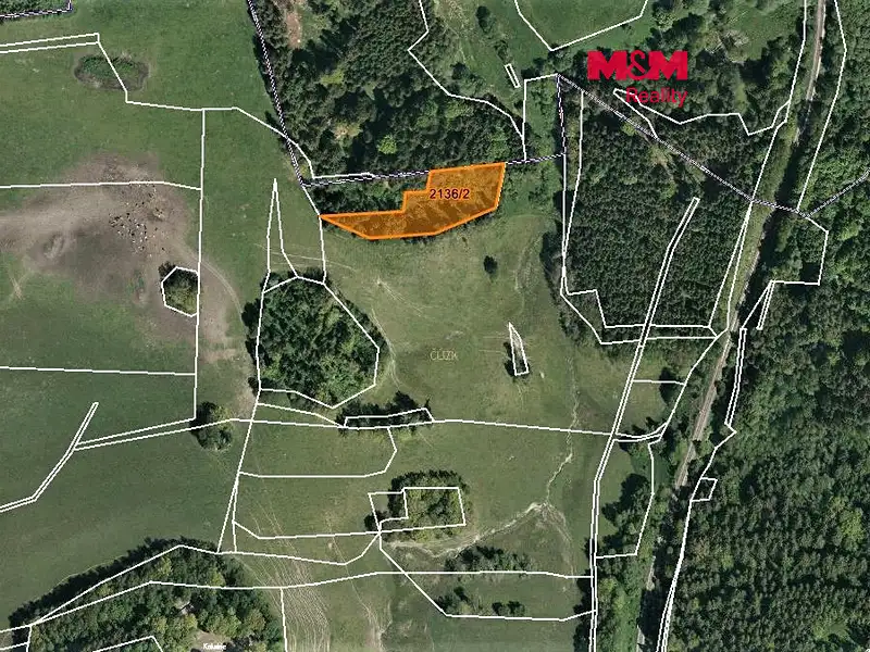 Prodej louky 3918 m², Horní Dvořiště – náhled fotky 1