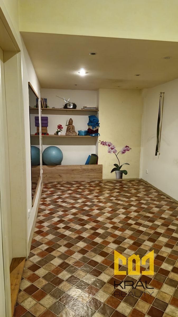 Pronájem obchodního prostoru 15 m² – fotografie 3