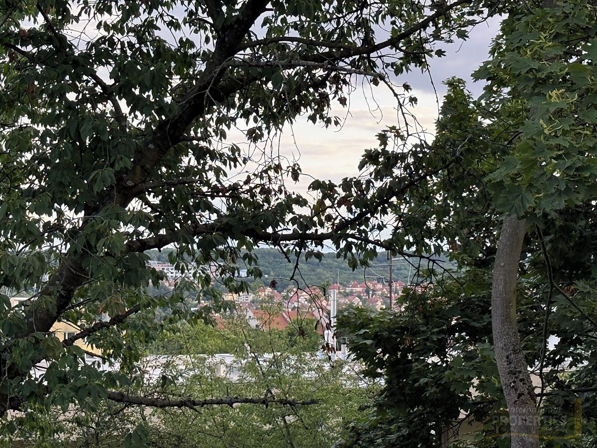 Prodej rodinného domu 500 m², pozemek 600 m² – fotografie 5