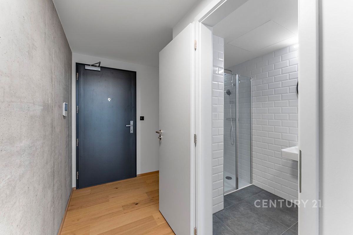 Pronájem bytu 1+kk 33 m² – fotografie 3