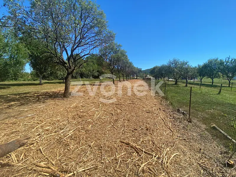 Prodej rodinného domu 100 m², pozemek 2453 m², Vlachovice – náhled fotky 2